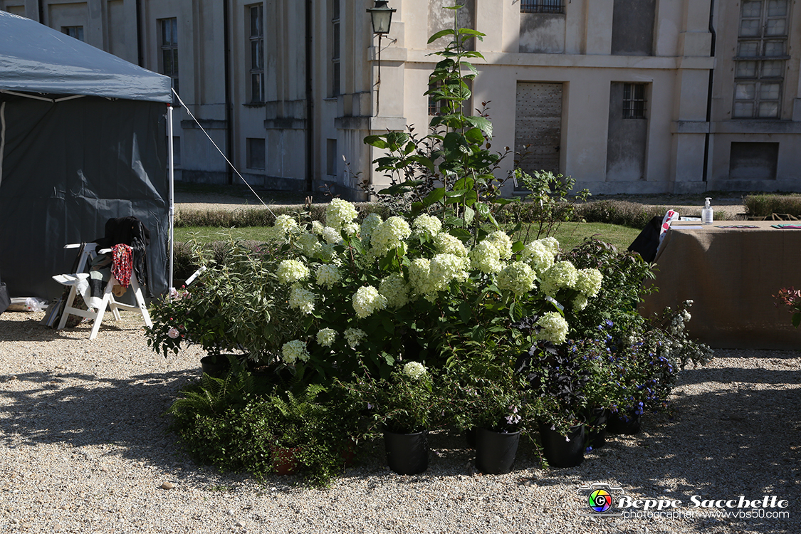 VBS_2394 - FloReal 2021 alla Palazzina di Caccia di Stupinigi.jpg